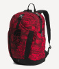 Рюкзак Youth Mini Recon (TNF Red Brand Proud Print;)